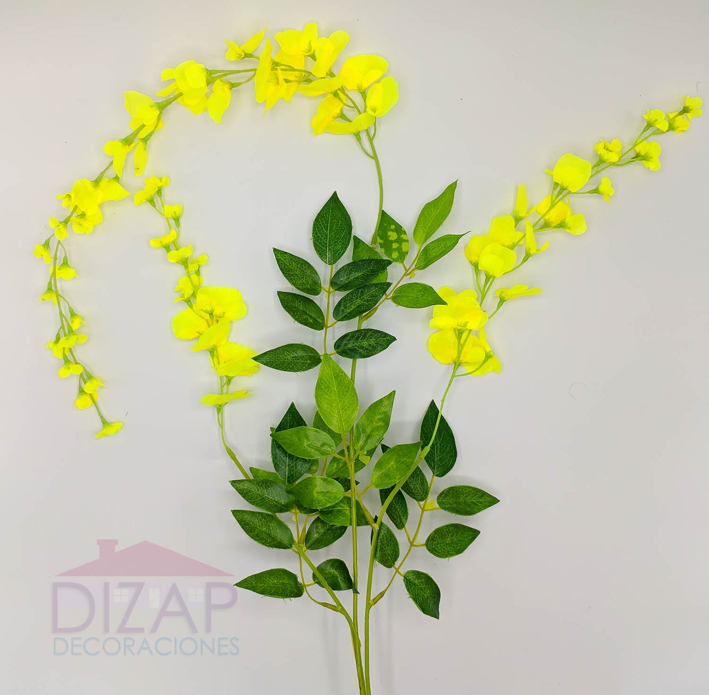 DOCENA - LLUVIA DE ORO, AMARILLA