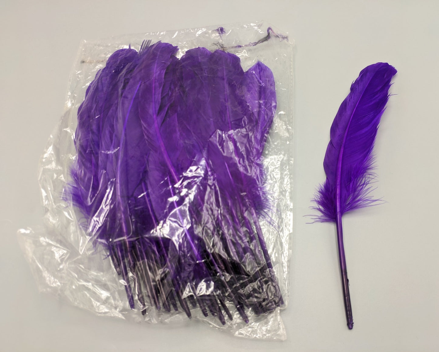 BOLSA X 100 PLUMAS DECORATIVAS - 24cm
