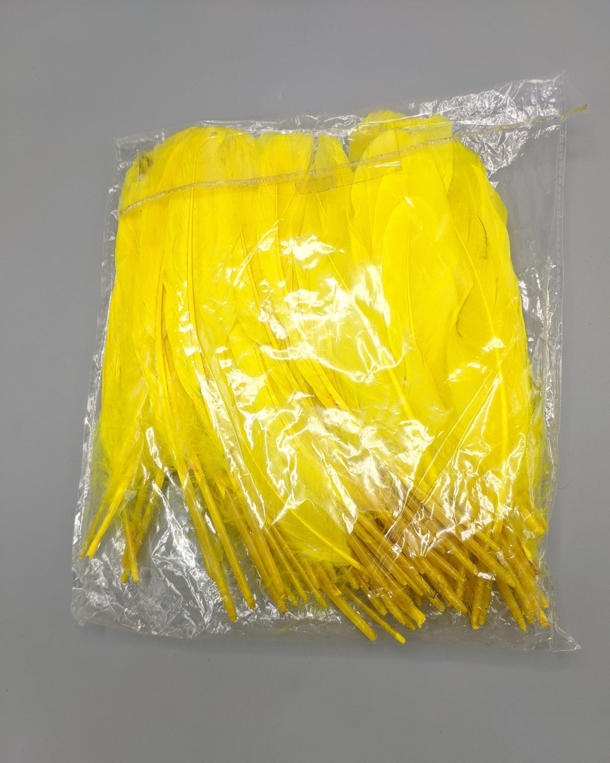 BOLSA X 100 PLUMAS DECORATIVAS - 24cm