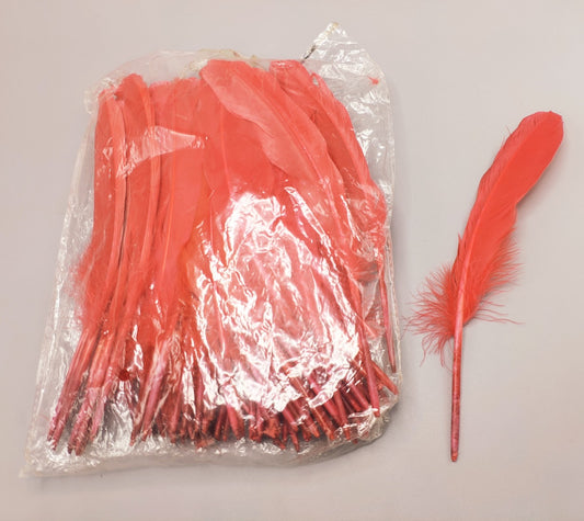 BOLSA X 100 PLUMAS DECORATIVAS - 24cm