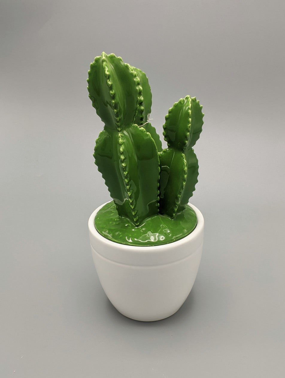 FIGURA CACTUS