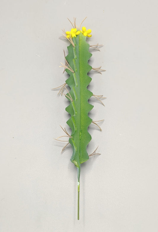 CACTUS, CON FLORES AMARILLAS