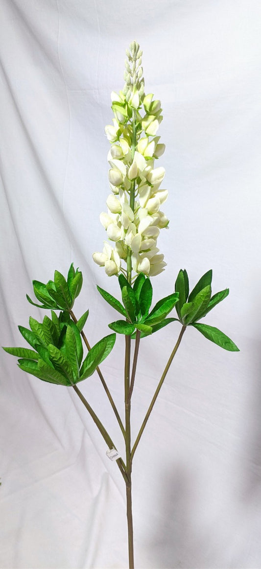 FOLLAJE LUPINUS, BLANCA