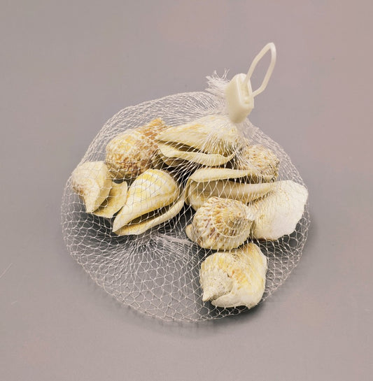 CONCHAS DE CARACOL BLANCO