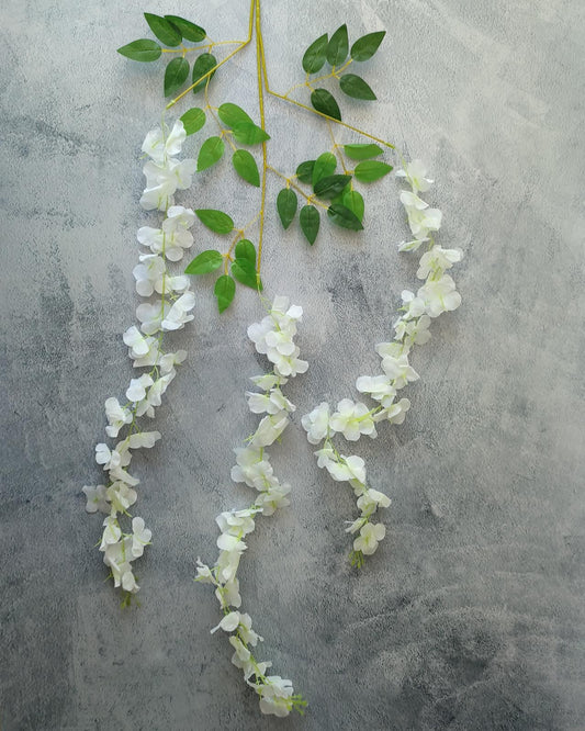 RAMA WISTERIA BLANCA